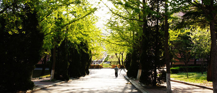银松路